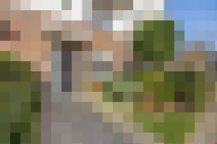 Ploeg 22 Voorthuizen thumbnail 5