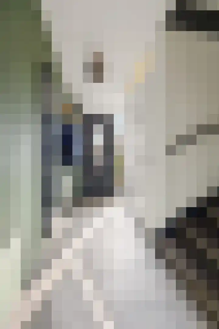 Ploeg 22 Voorthuizen thumbnail 6