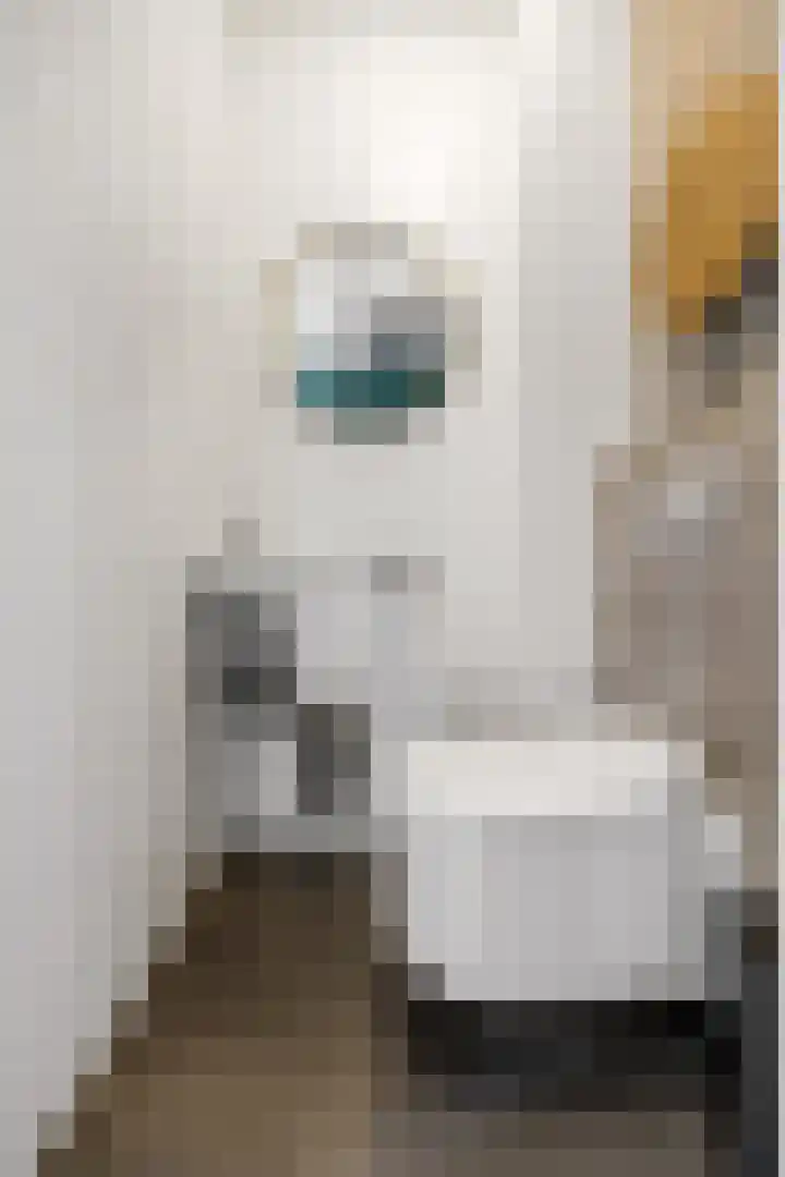 Ploeg 22 Voorthuizen thumbnail 7