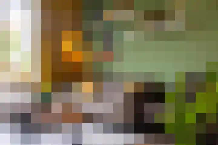 Ploeg 26 Holten thumbnail 11