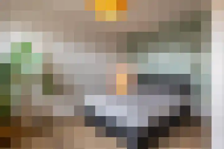 Ploeg 26 Holten thumbnail 14