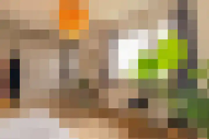 Ploeg 26 Holten thumbnail 16