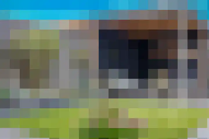 Ploeg 26 Holten thumbnail 27