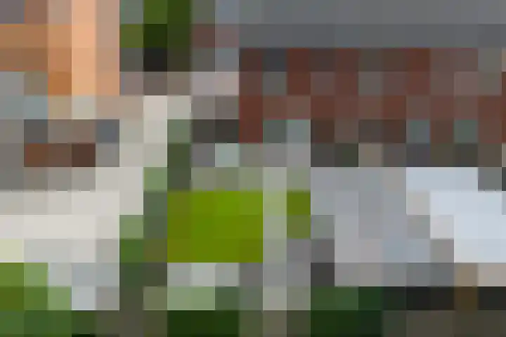 Ploeg 26 Holten thumbnail 31