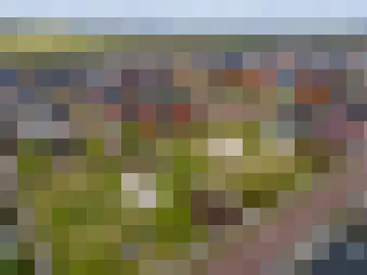 Ploeg 26 Holten thumbnail 35