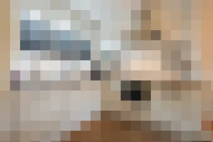 Ploeg 26 Holten thumbnail 5