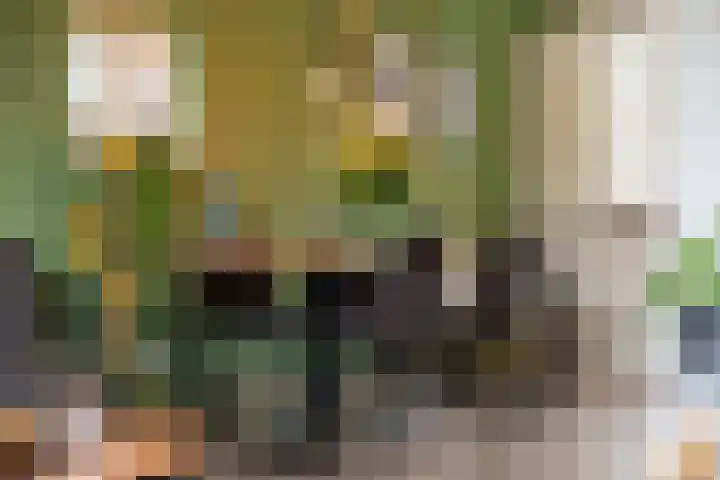 Ploeg 26 Holten thumbnail 8