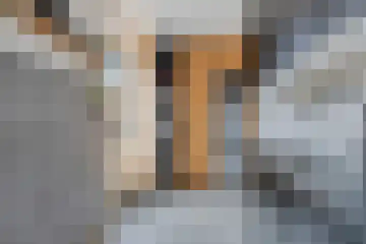 Ploeg 3 Nuland thumbnail 14