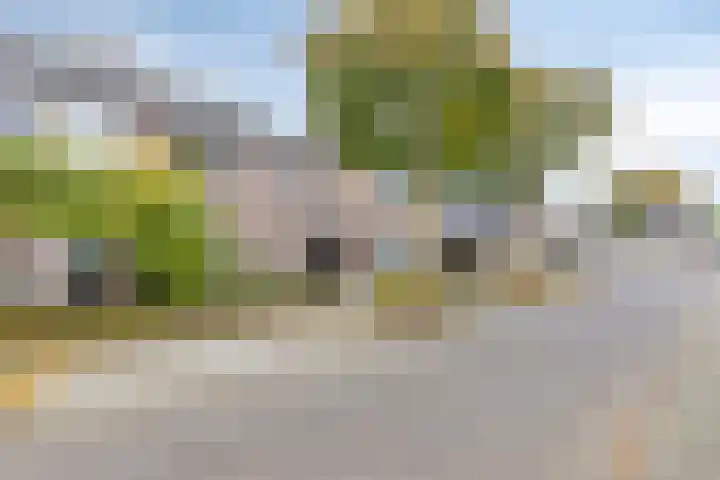 Ploeg 3 Nuland thumbnail 34