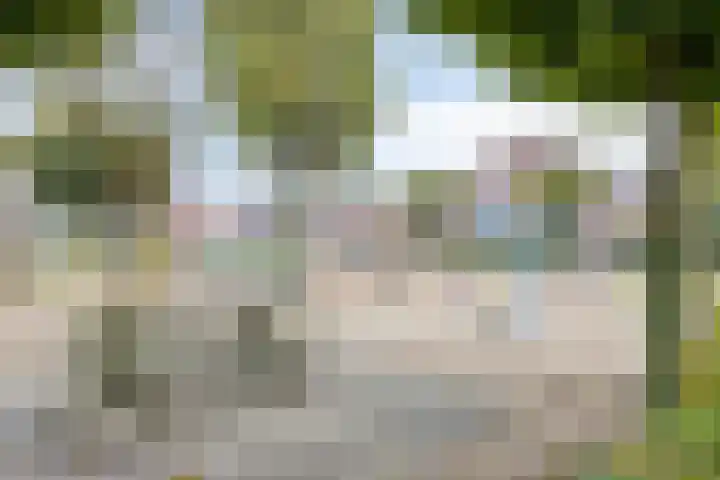 Ploeg 3 Nuland thumbnail 35