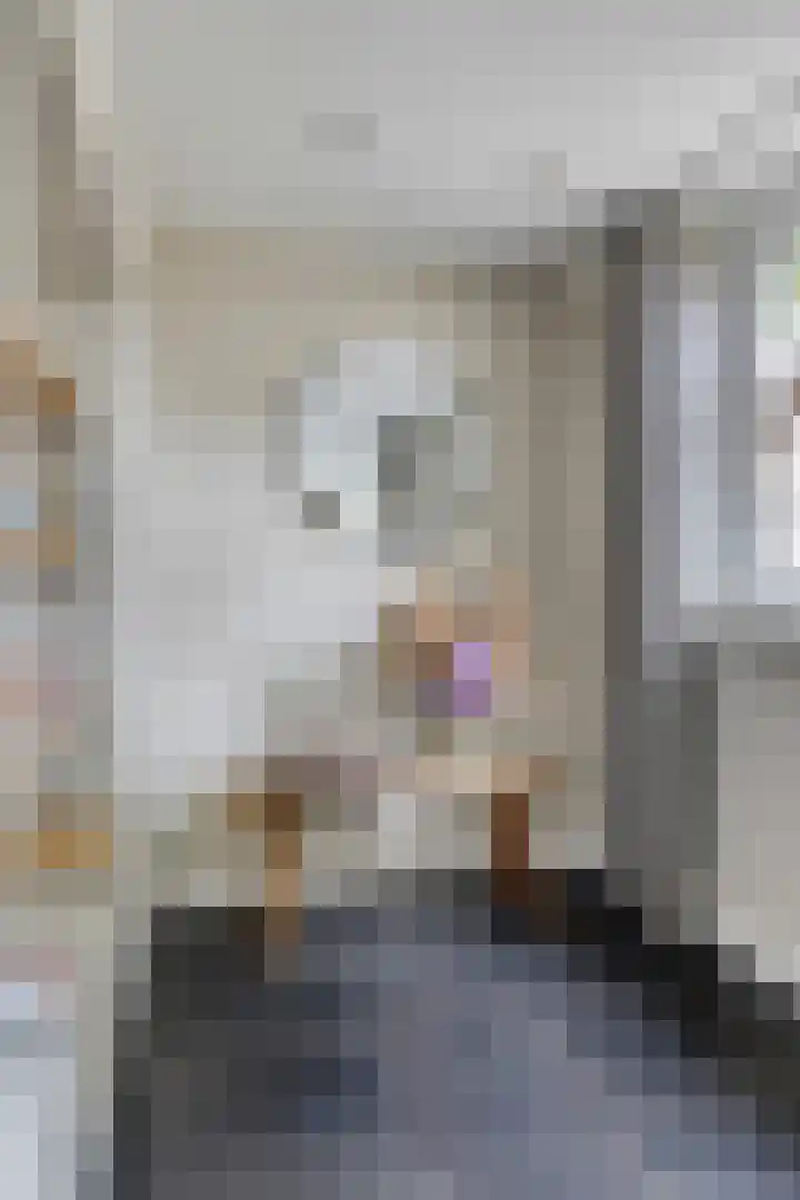 Ploeg 3 Nuland thumbnail 4