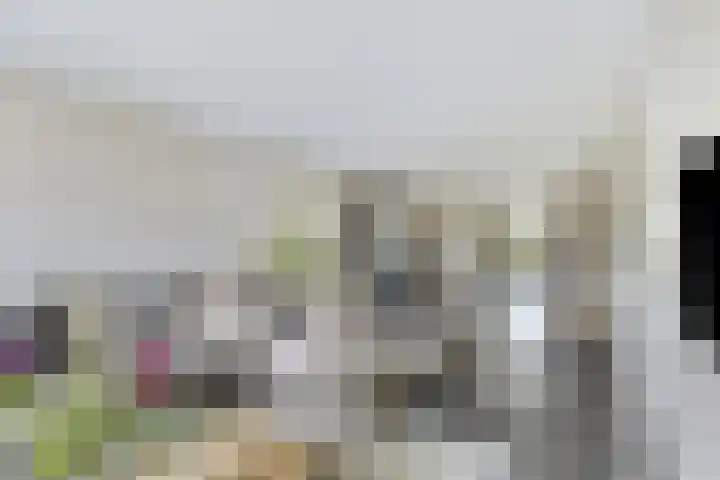 Ploeg 3 Nuland thumbnail 6