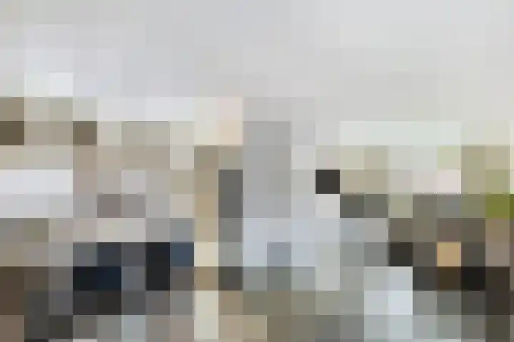 Ploeg 3 Nuland thumbnail 7