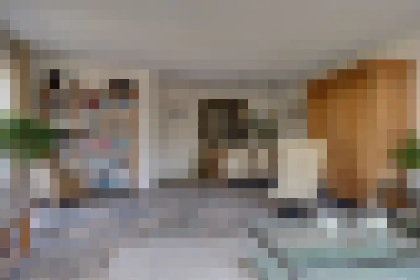 Ploeg 3 Wieringerwerf thumbnail 10