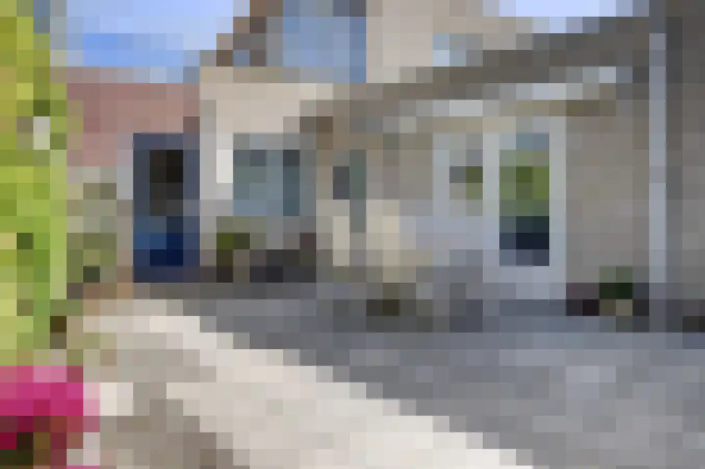 Ploeg 3 Wieringerwerf thumbnail 25