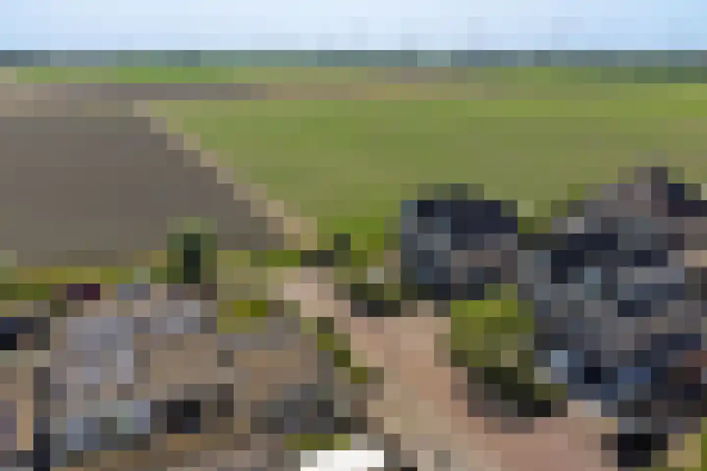 Ploeg 3 Wieringerwerf thumbnail 28