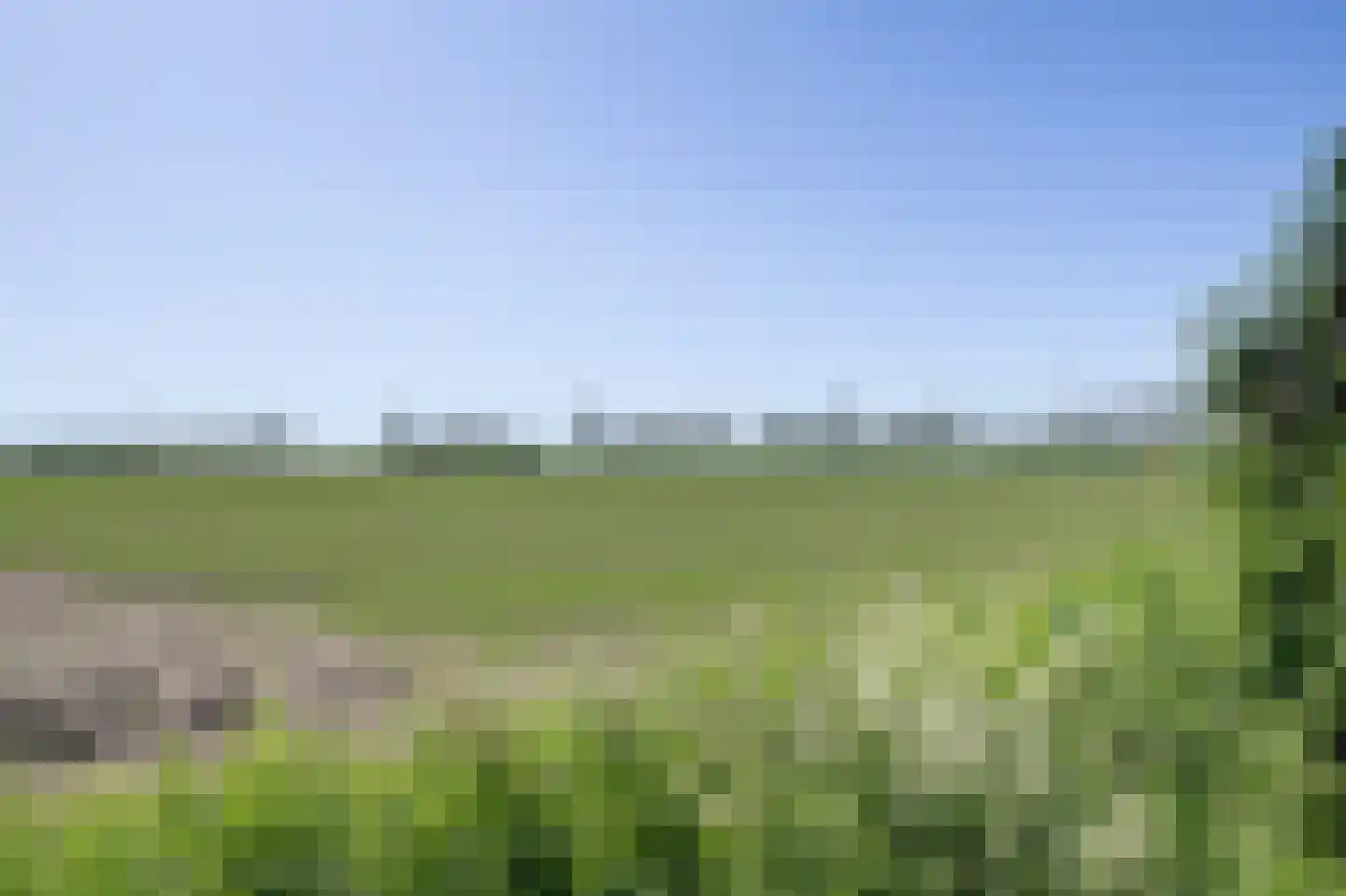 Ploeg 3 Wieringerwerf thumbnail 29