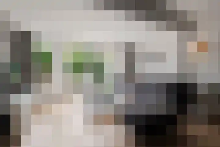 Ploeg 30 Wieringerwerf foto 2