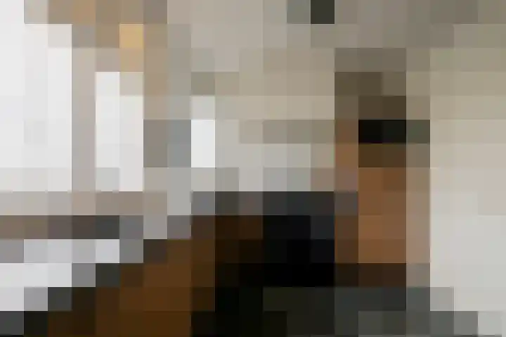 Ploeg 30 Wieringerwerf foto 3