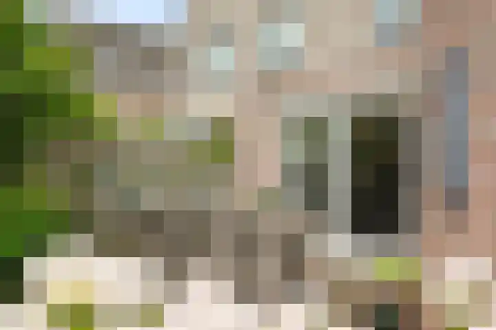 Ploeg 30 Wieringerwerf thumbnail 33