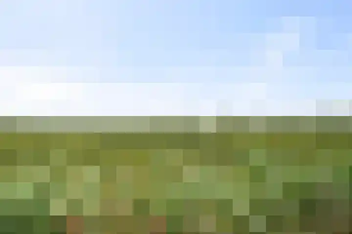 Ploeg 30 Wieringerwerf thumbnail 37