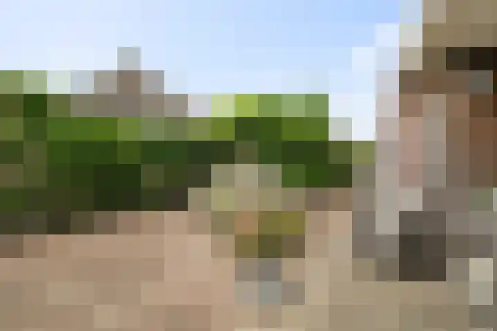 Ploeg 30 Wieringerwerf thumbnail 5
