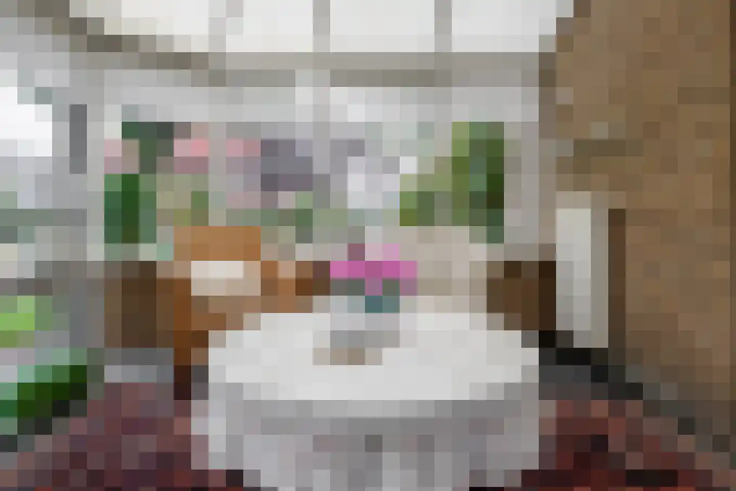 Ploeg 42 Vriezenveen thumbnail 17
