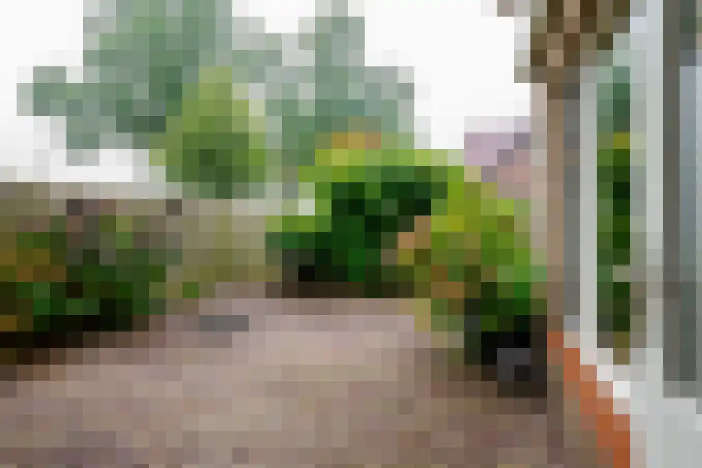 Ploeg 42 Vriezenveen thumbnail 38