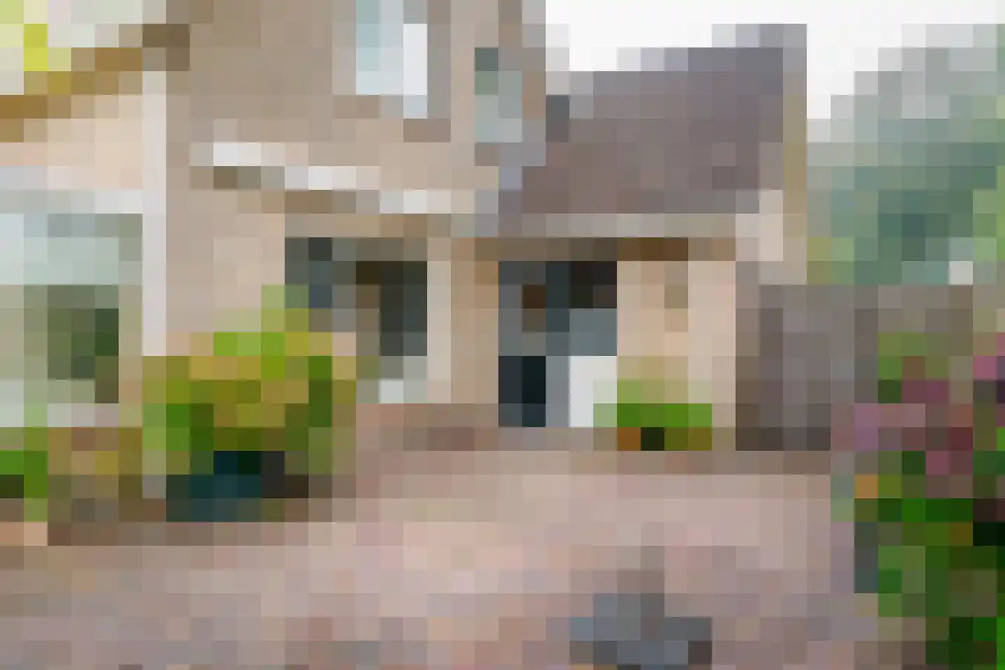 Ploeg 42 Vriezenveen thumbnail 39