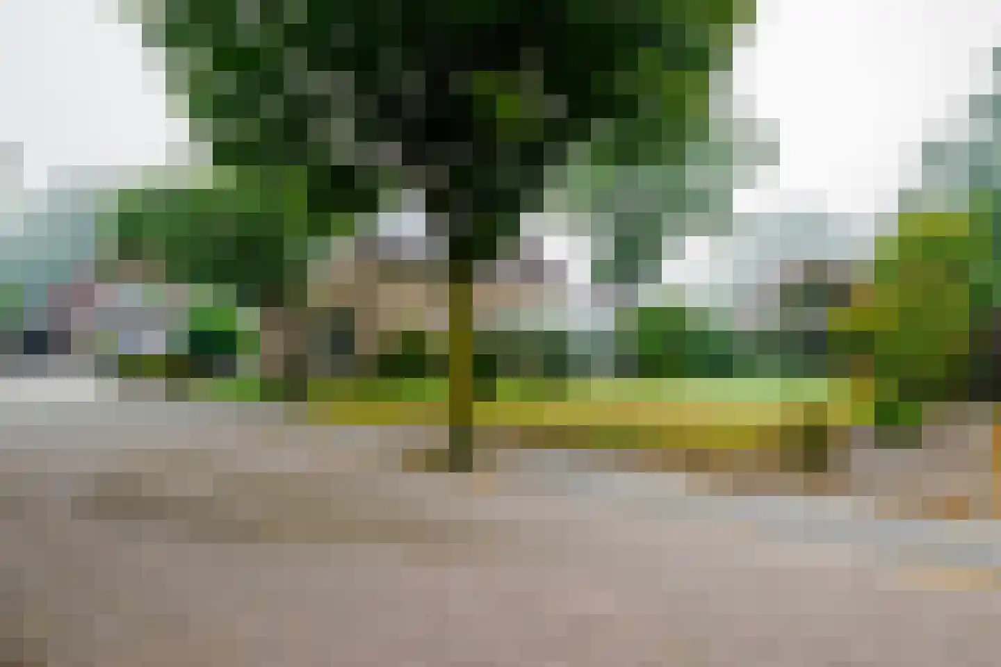 Ploeg 42 Vriezenveen thumbnail 44