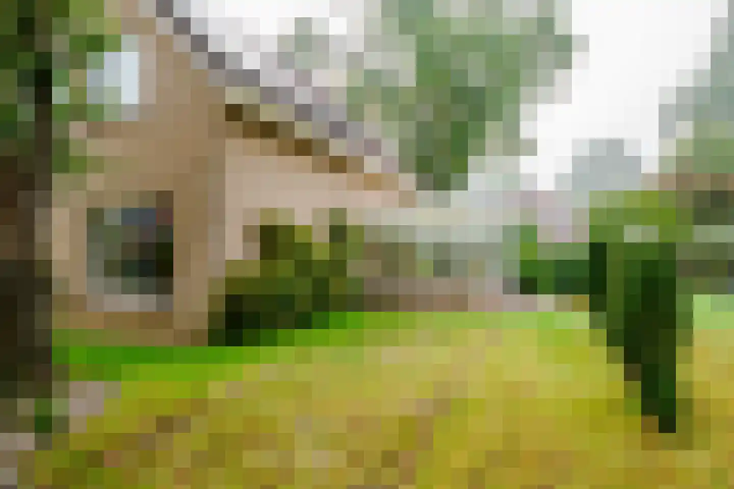 Ploeg 42 Vriezenveen thumbnail 45