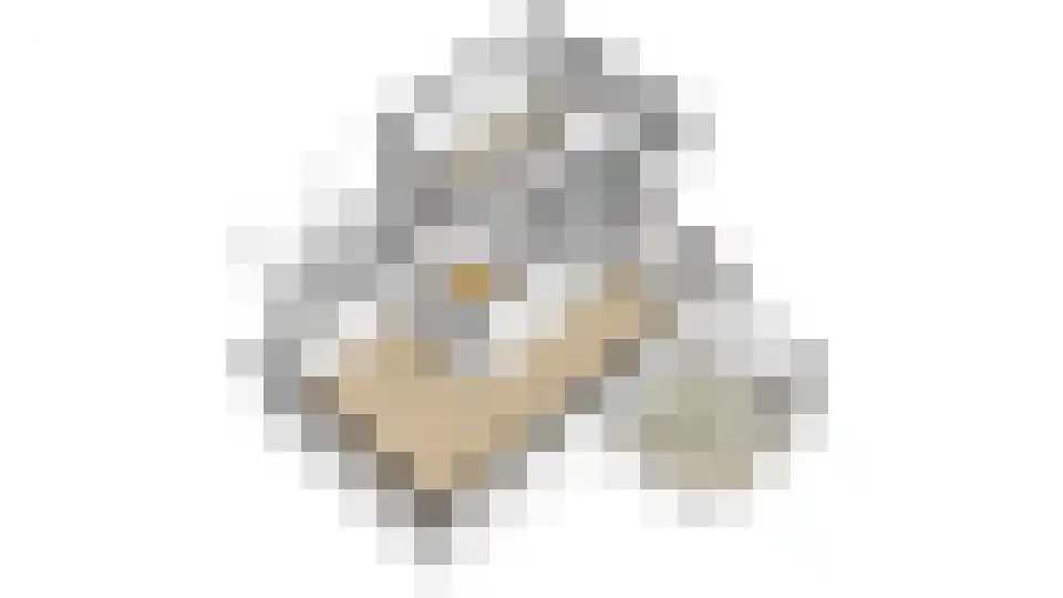 Ploeg 42 Vriezenveen thumbnail 57