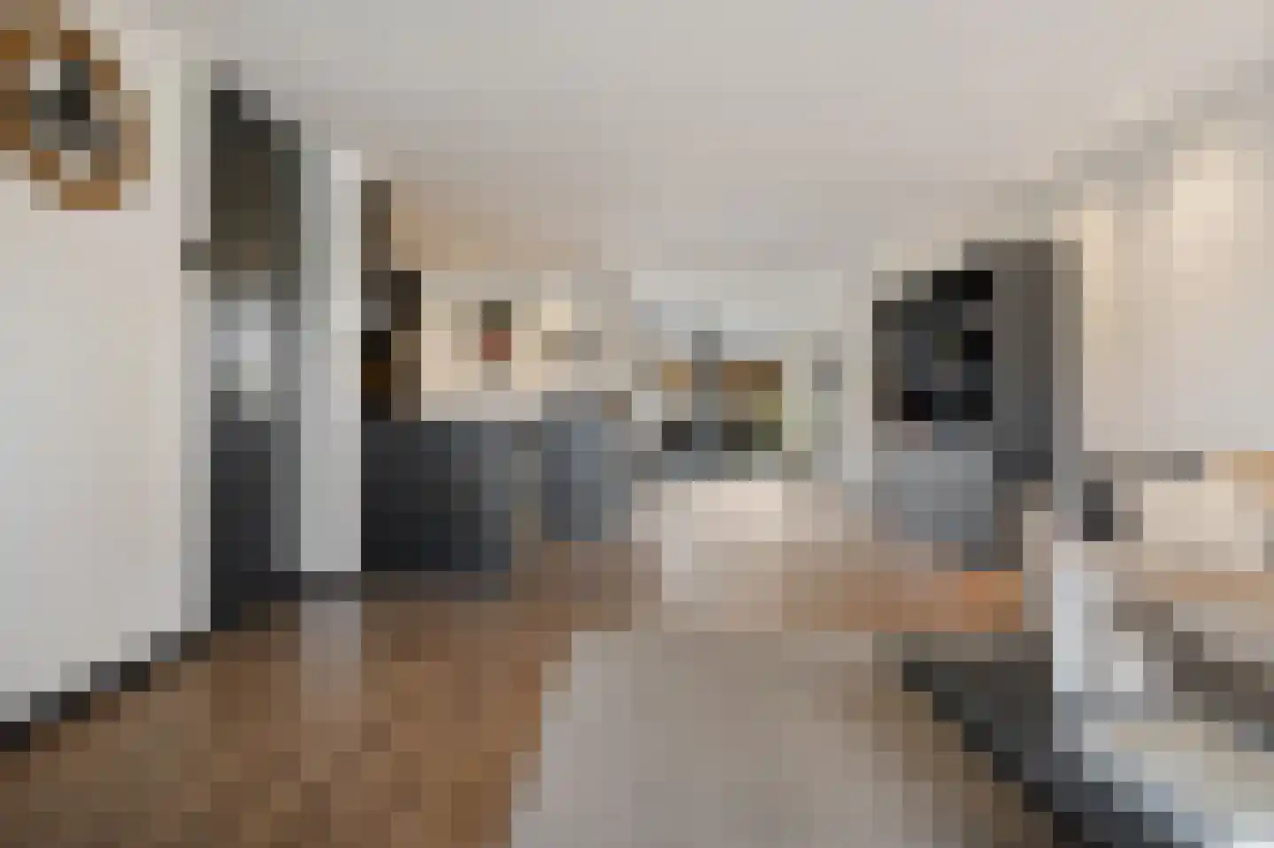 Ploeg 44 Berghem thumbnail 12