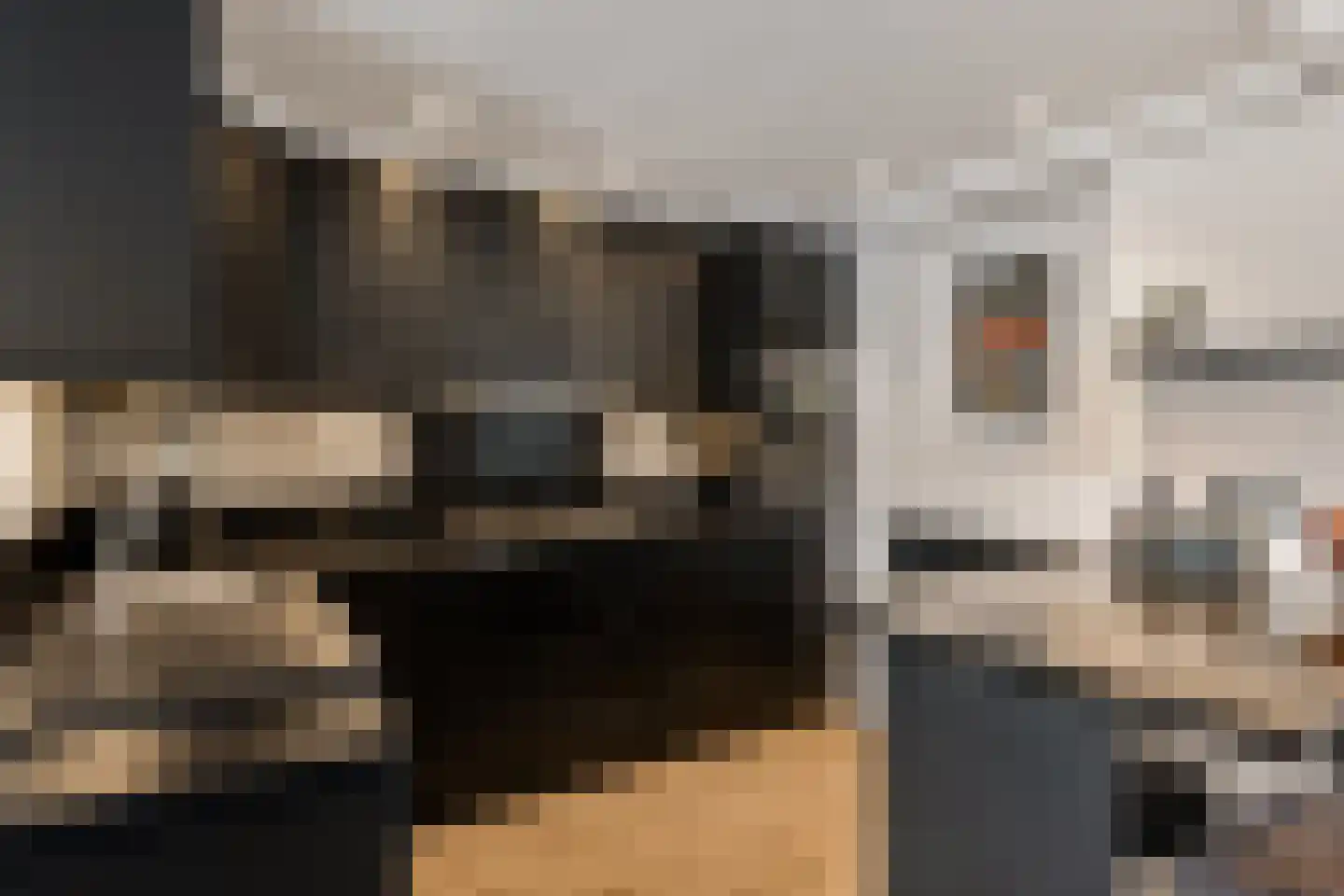 Ploeg 44 Berghem thumbnail 15