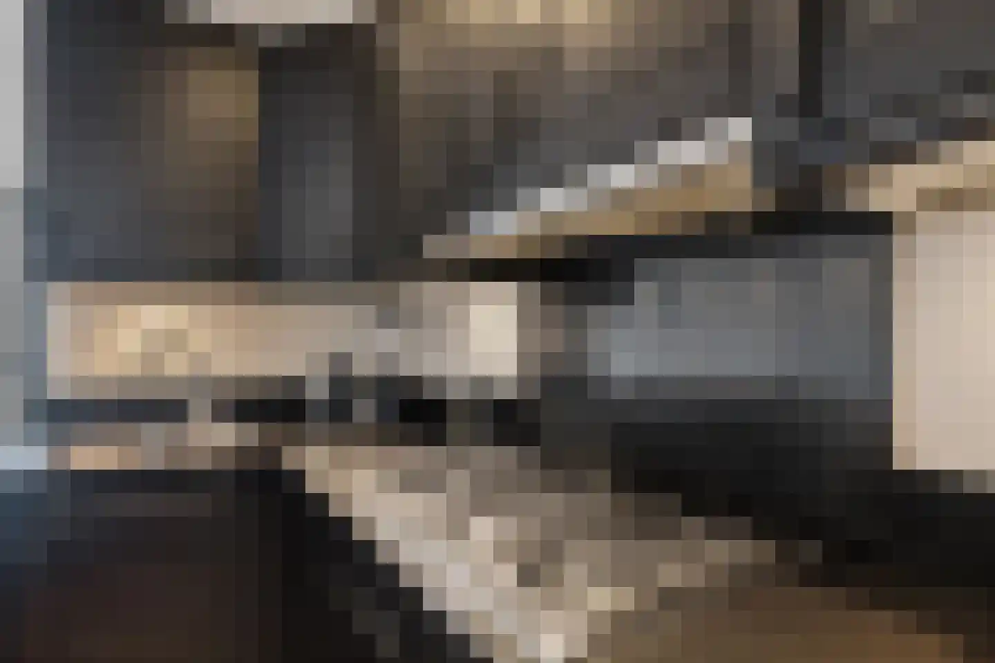 Ploeg 44 Berghem thumbnail 18
