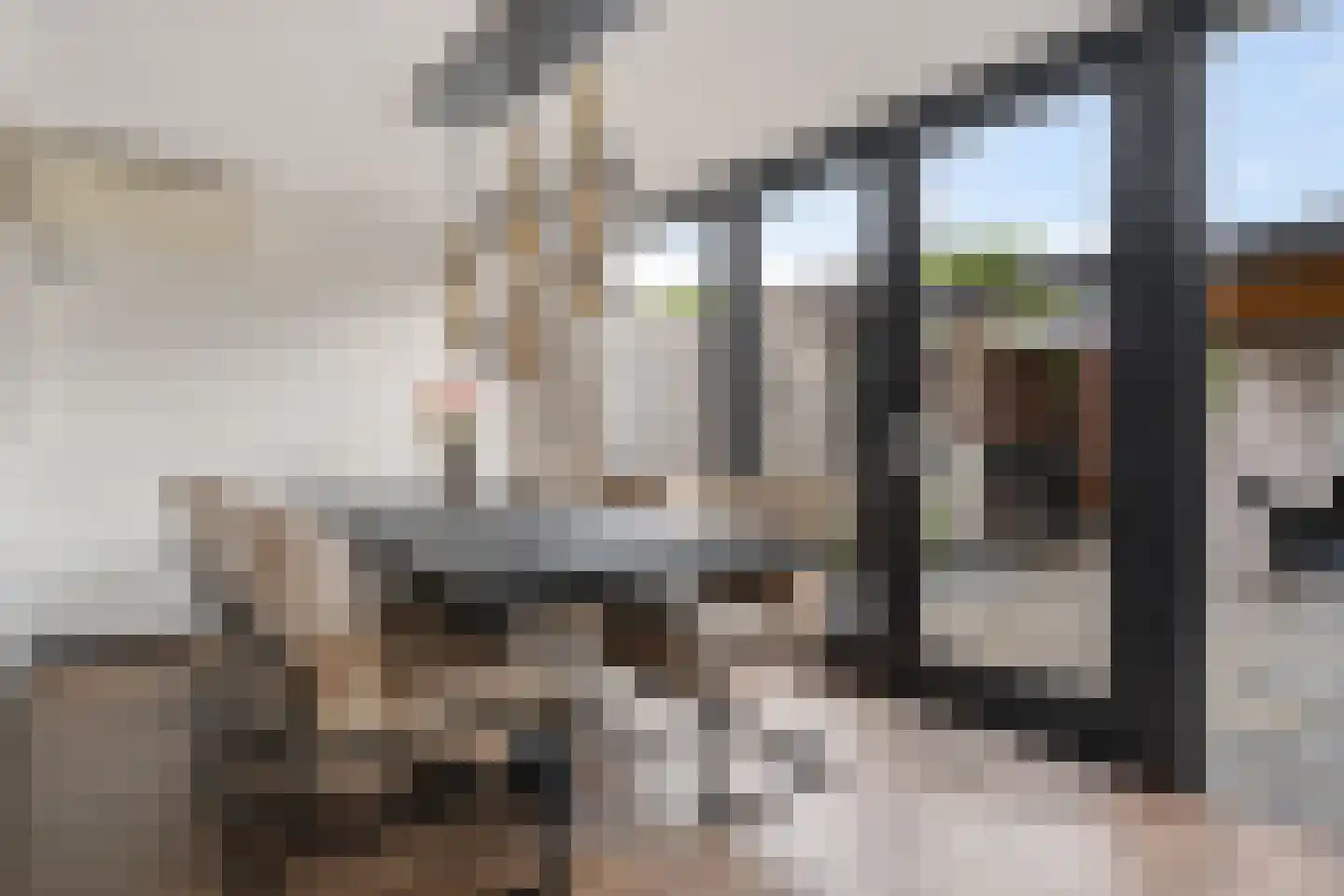 Ploeg 44 Berghem thumbnail 21