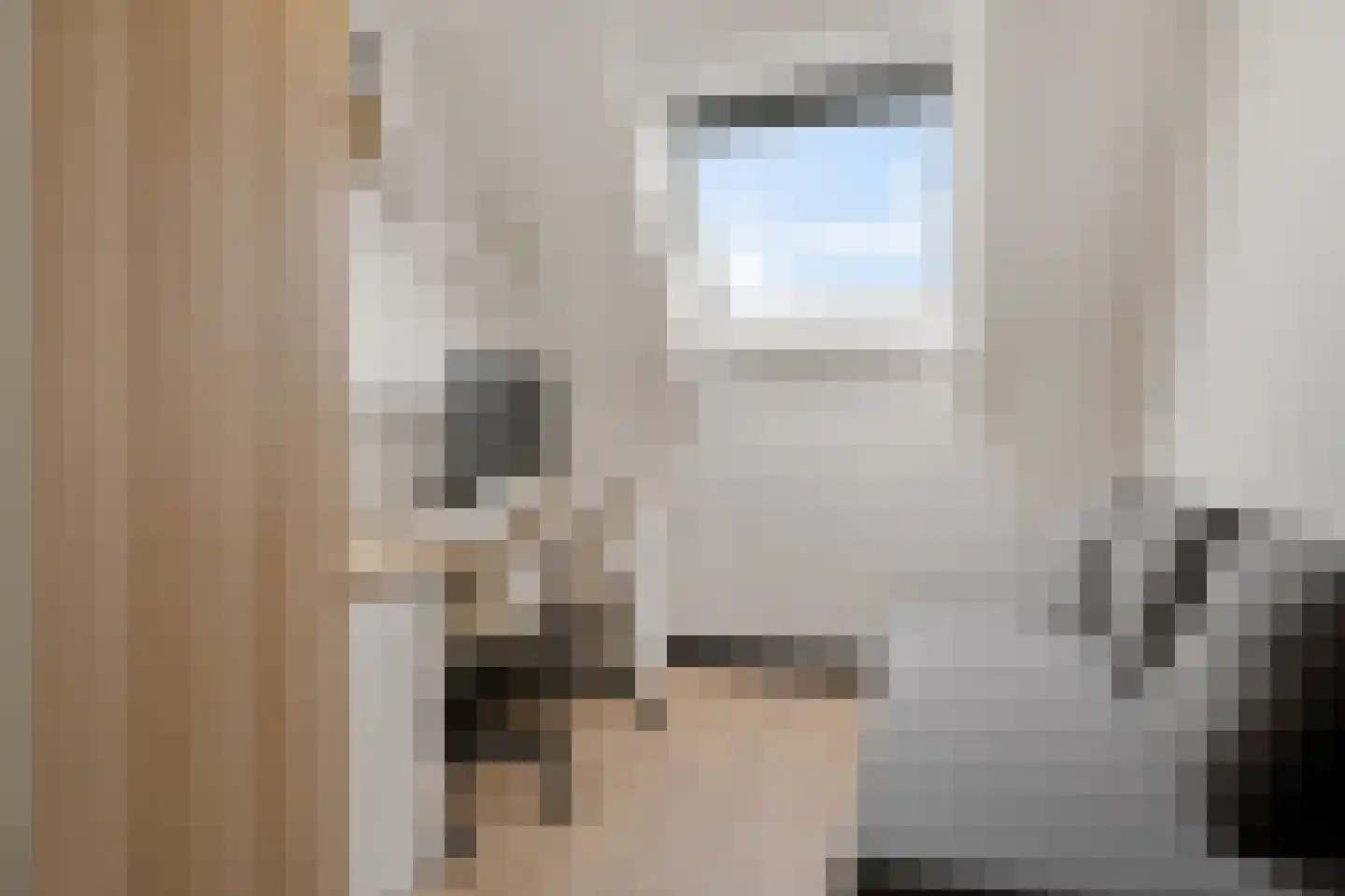 Ploeg 44 Berghem thumbnail 26