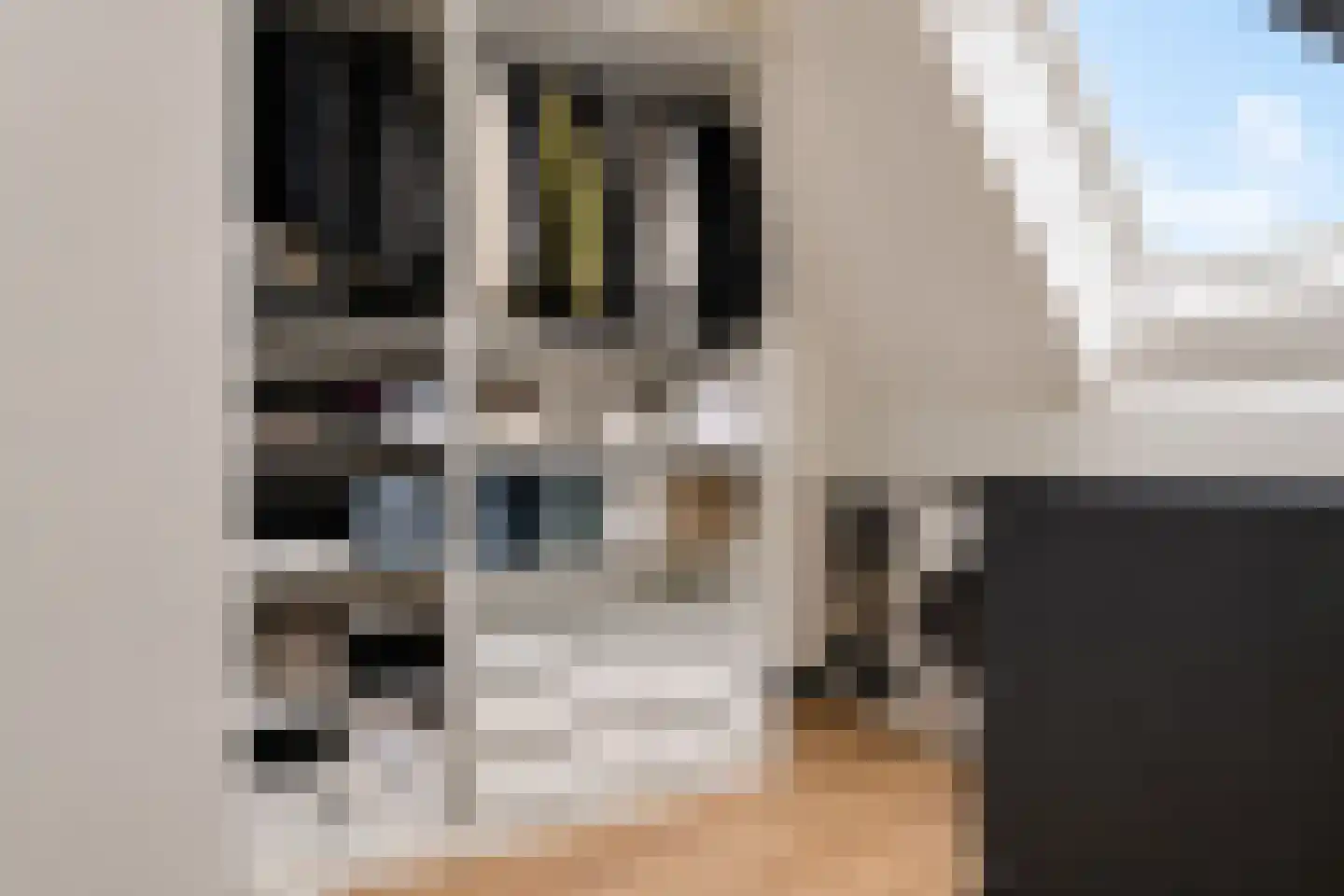 Ploeg 44 Berghem thumbnail 30
