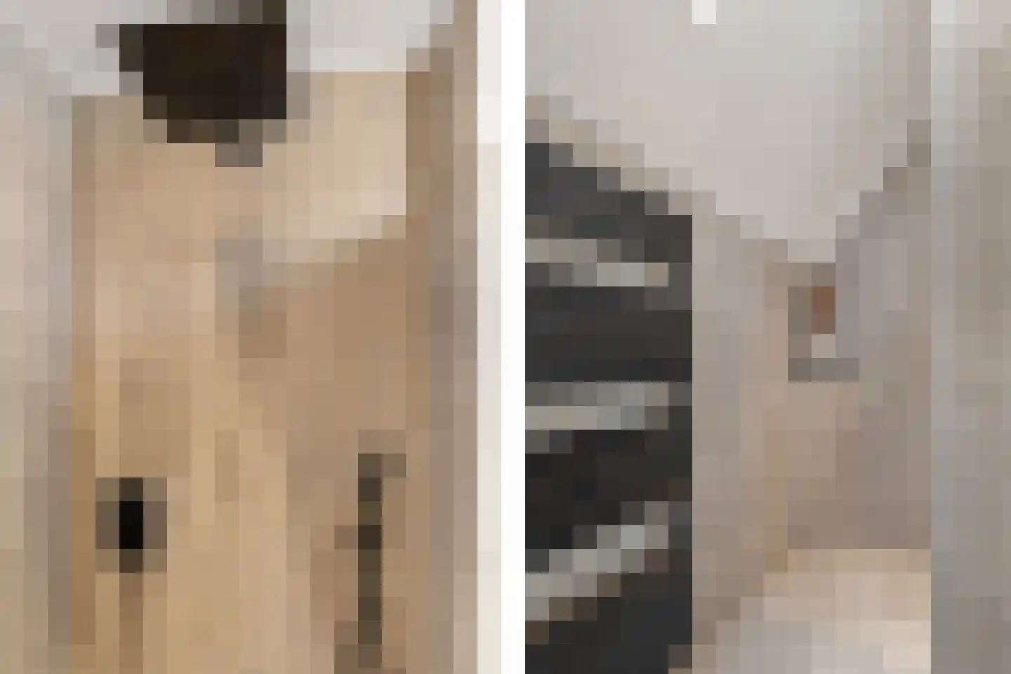 Ploeg 44 Berghem thumbnail 32