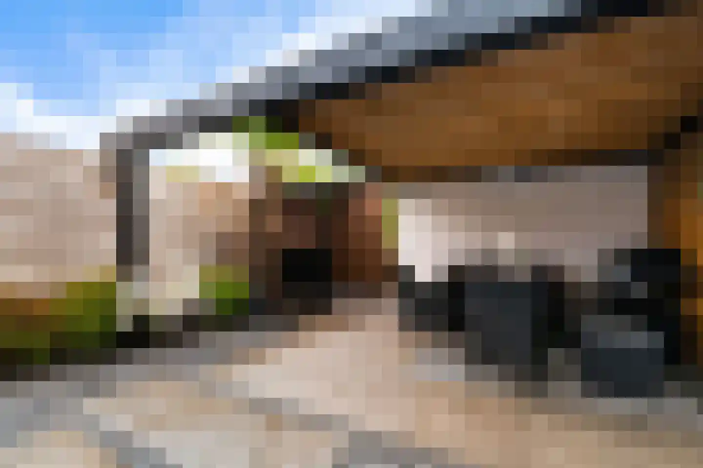 Ploeg 44 Berghem thumbnail 37