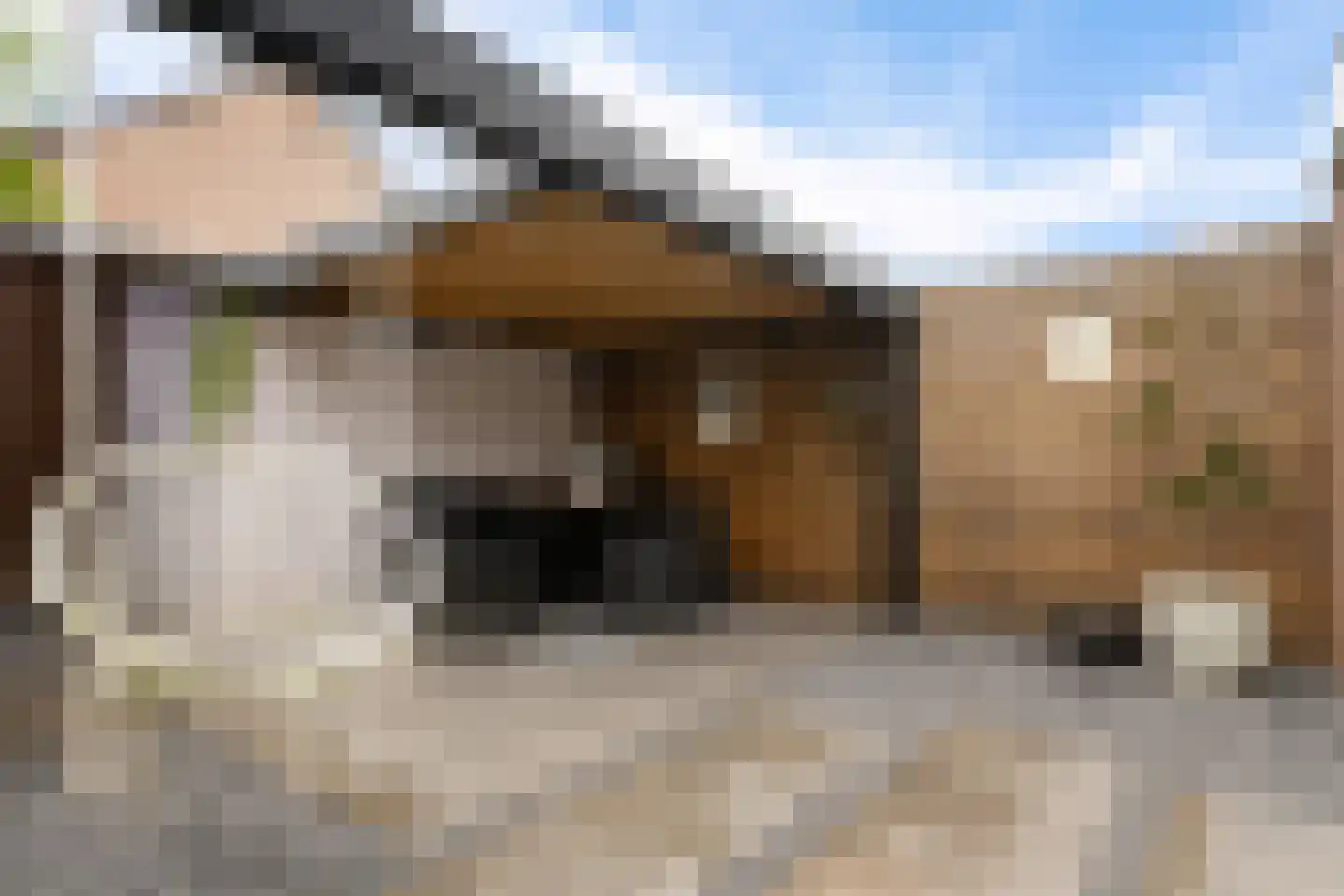 Ploeg 44 Berghem thumbnail 38