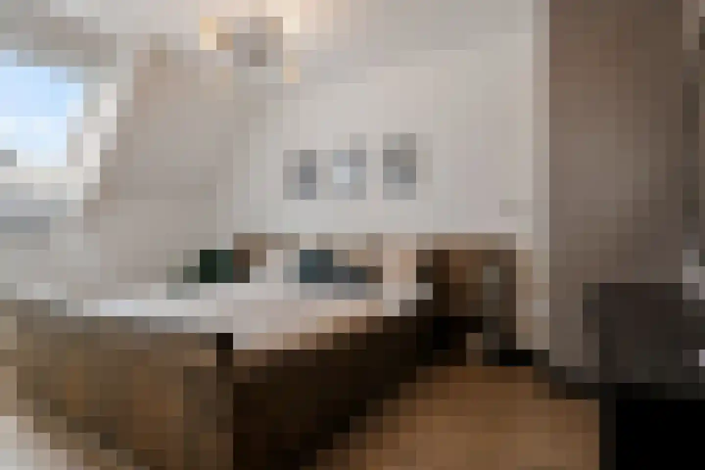 Ploeg 44 Berghem thumbnail 4