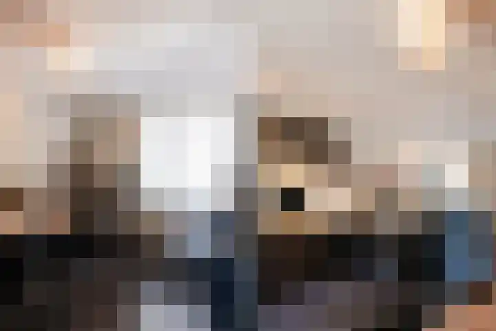 Ploeg 53 Berghem thumbnail 11