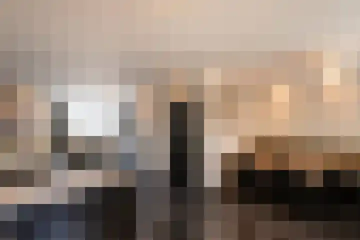 Ploeg 53 Berghem thumbnail 13