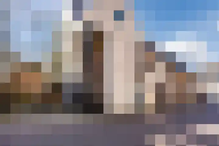 Ploeg 53 Berghem thumbnail 14