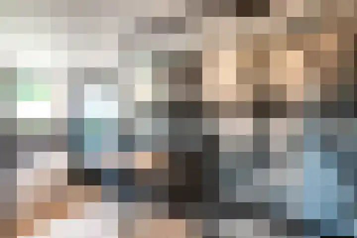 Ploeg 53 Berghem thumbnail 17