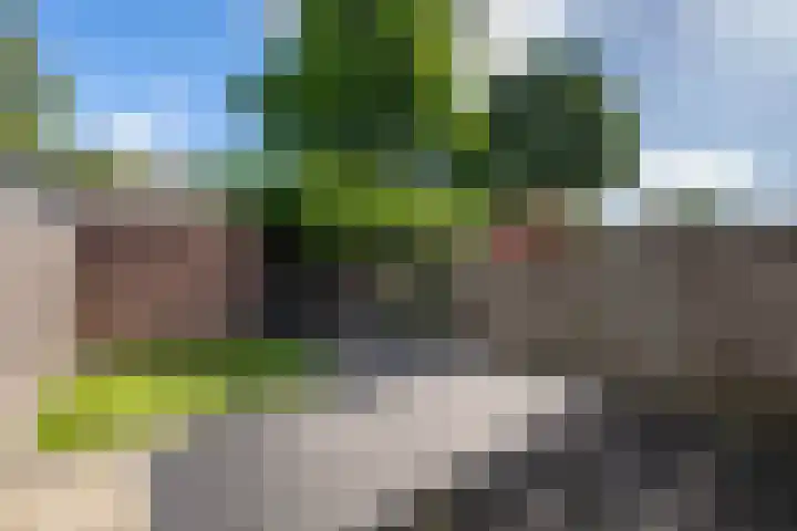 Ploeg 53 Berghem thumbnail 21