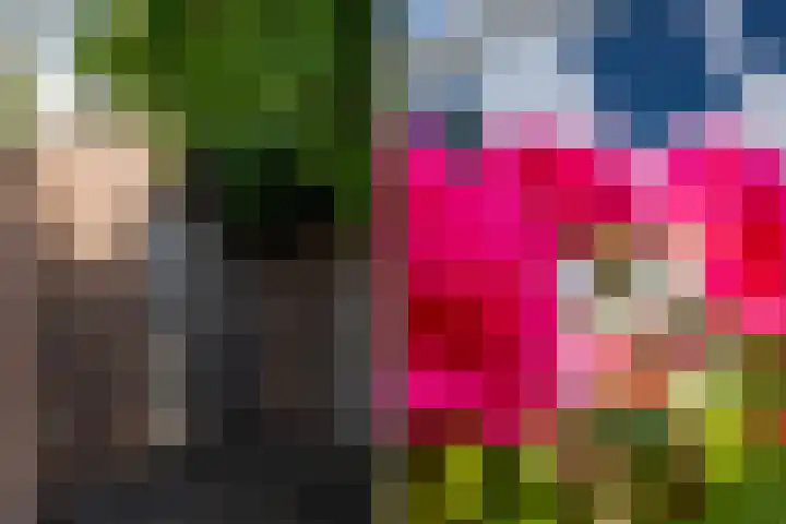 Ploeg 53 Berghem thumbnail 22