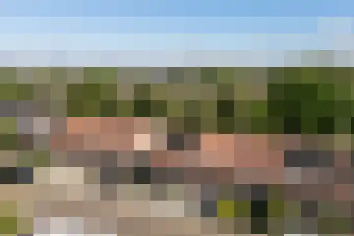 Ploeg 53 Berghem thumbnail 23