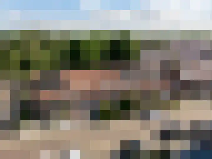Ploeg 53 Berghem thumbnail 28